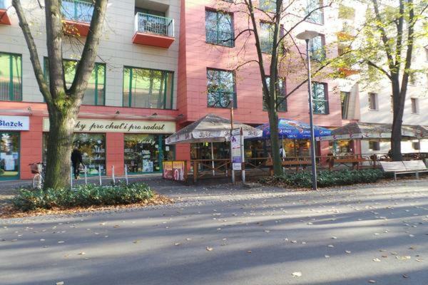 Apartment Archa Poděbrady Екстериор снимка